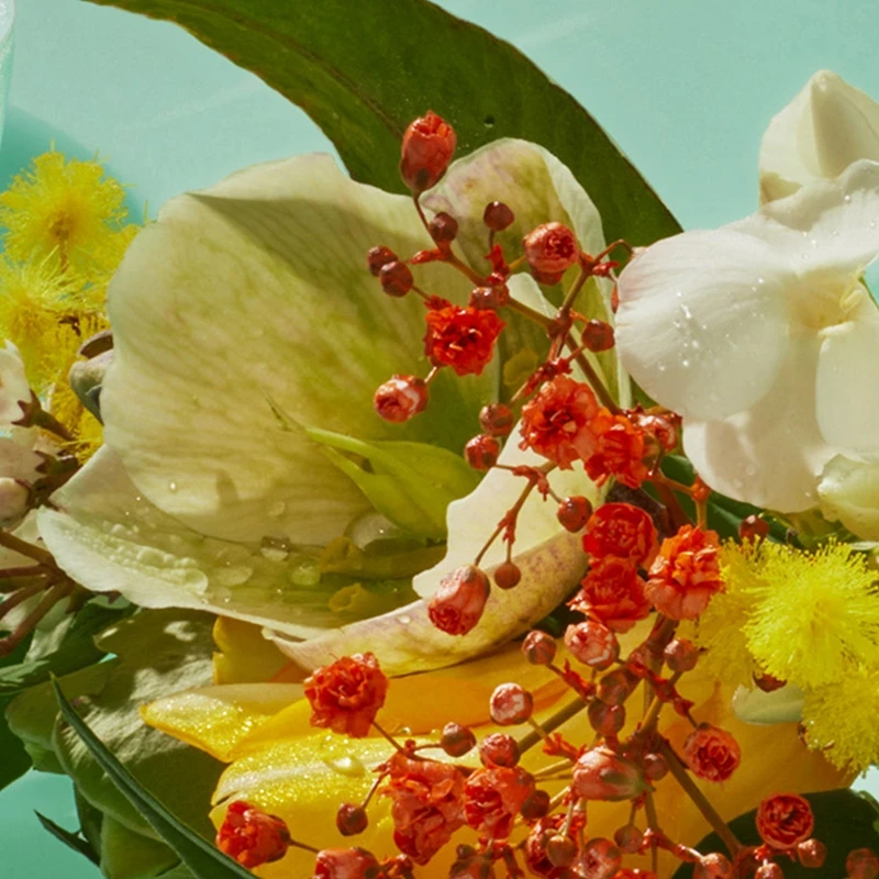 Cacharel Eden – Image 3