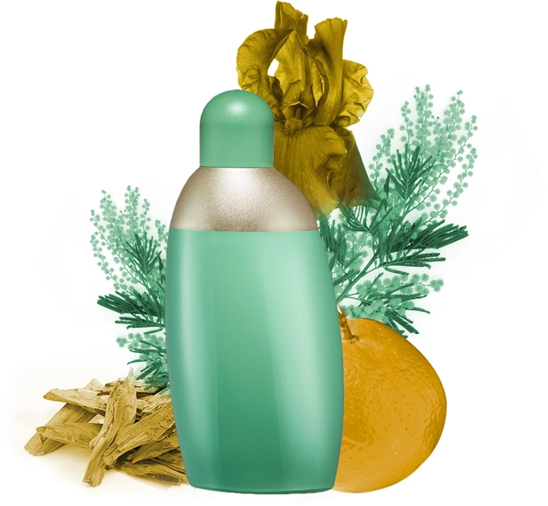 Cacharel Eden – Image 5