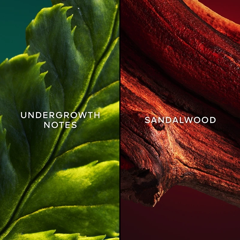 GUERLAIN Chant D'Arômes – Image 4