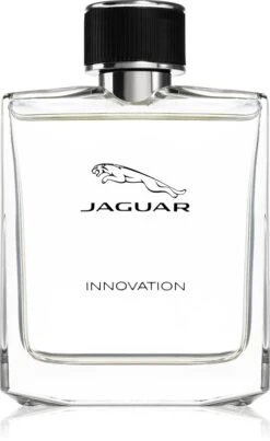 Jaguar Innovation