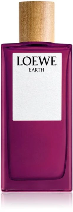 Loewe Earth