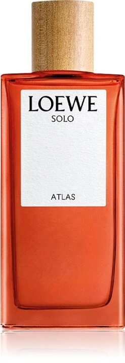 Loewe Solo Atlas