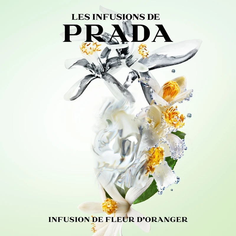 Prada Les Infusions: Infusion Fleur D'Oranger – Image 3