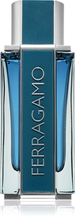 Salvatore Ferragamo Intense Leather