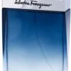 Salvatore Ferragamo Subtil Pour Homme
