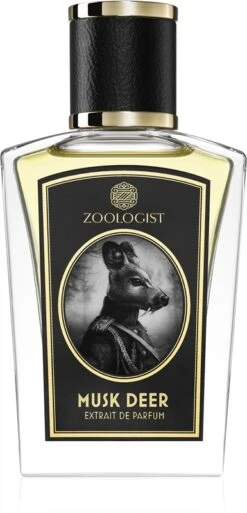 Zoologist Musk Deer